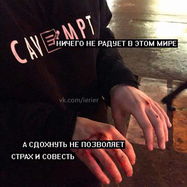 a2cd63fb9b68f0e1252f575fe943a348.avif