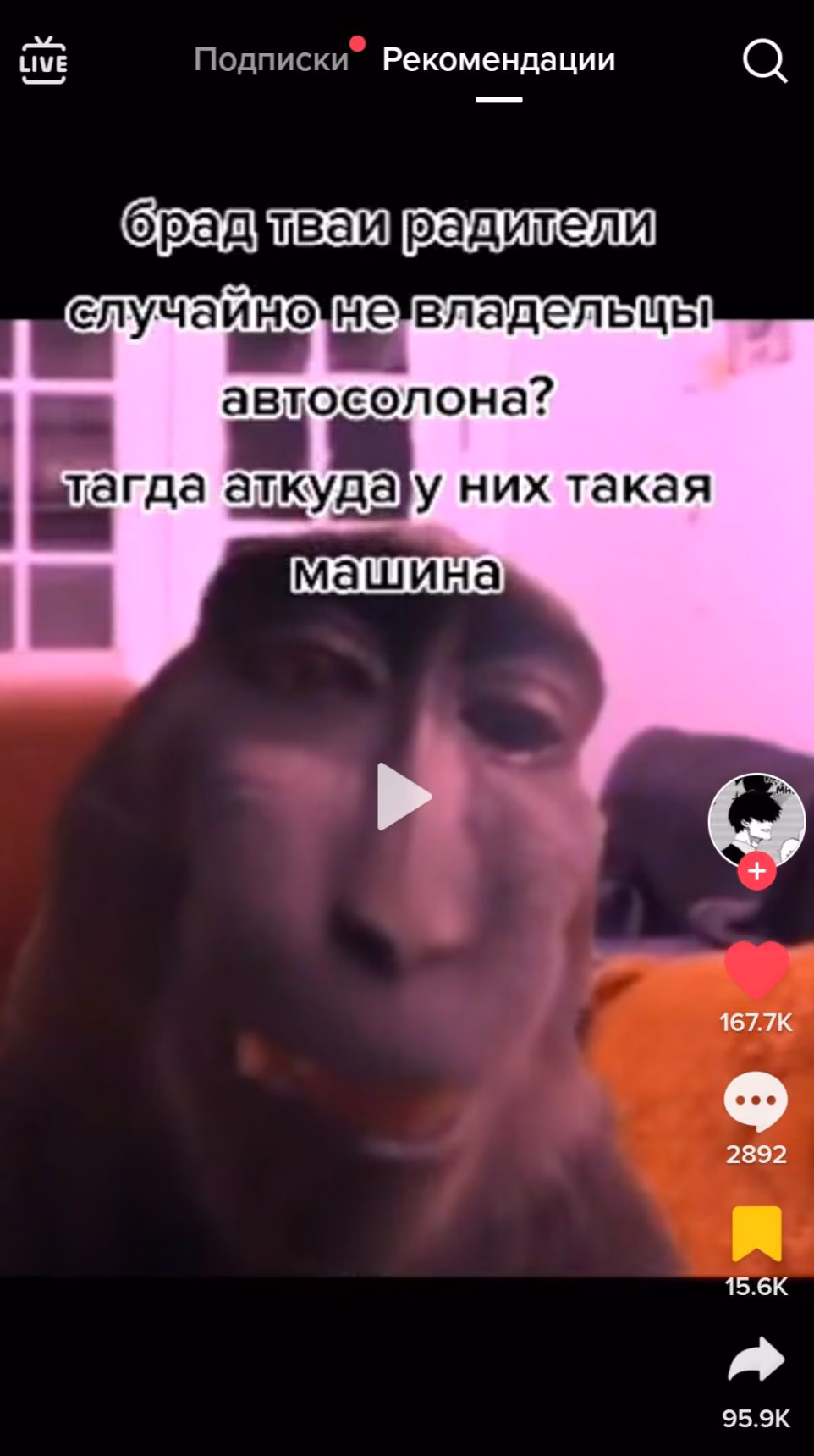 a2df5c722d8496148a2d2733ea139eef.avif