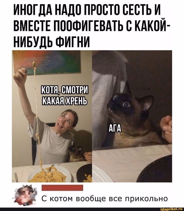 a2e8daaae8b3f5e9193552d5f183447f.avif
