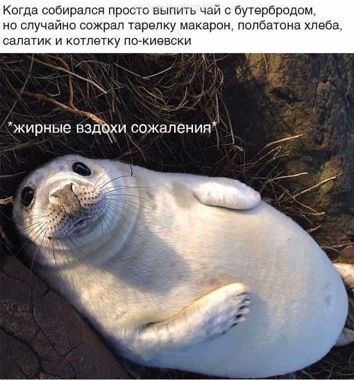 5be95ca67b290bf57da56aaa0fb094ce.jpg
