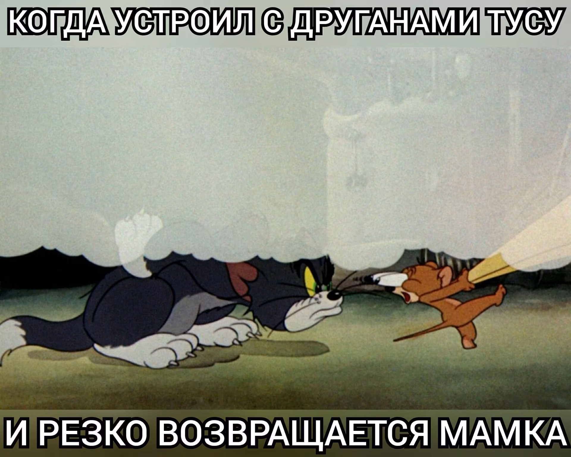 a31554d42df937a625369b3fa6bcaf57.avif
