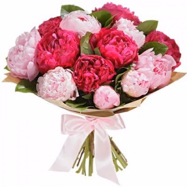 a31c7121c23908b2c51fb8317b4cbd26.avif