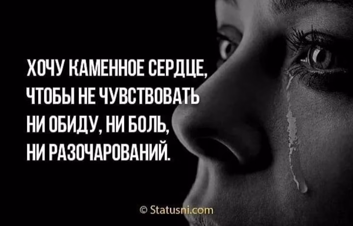 a31cd42e1ff95b87b8519128a4e012e0.avif