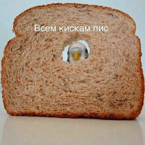 a32c772b888cc0d33c4fa02125477d17.avif