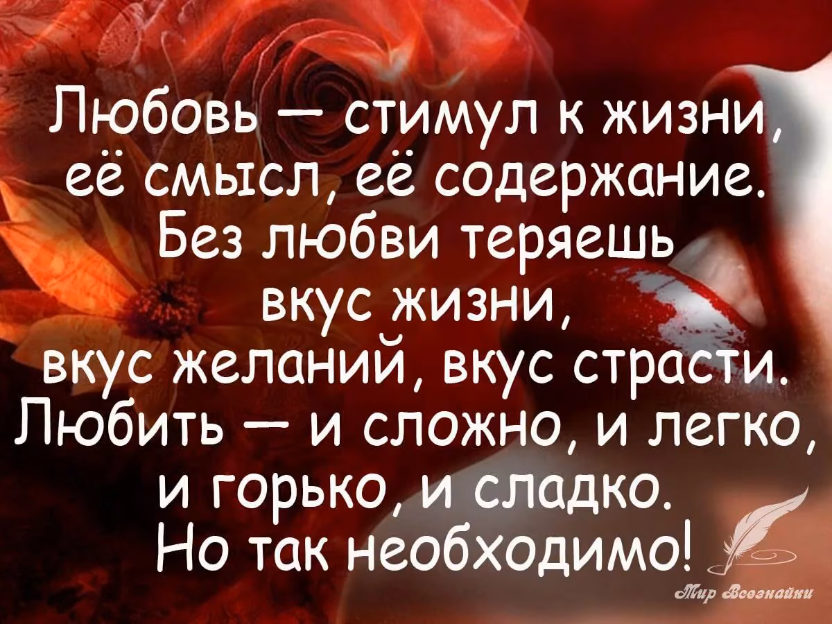 a32ea21921d7c42d7f0b5a5e25937882.avif