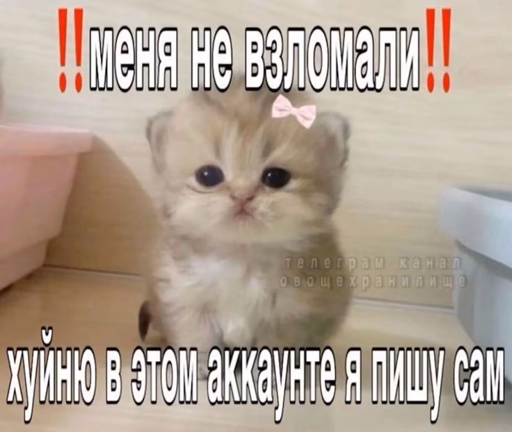 a3562c39ef06b64aa95038af2dece98b.avif