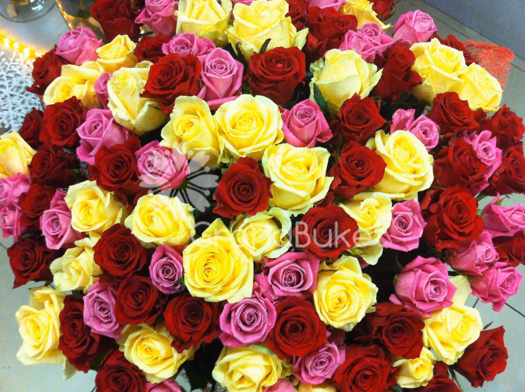 a36a7e41856ec22b8df180df47726ce2.avif