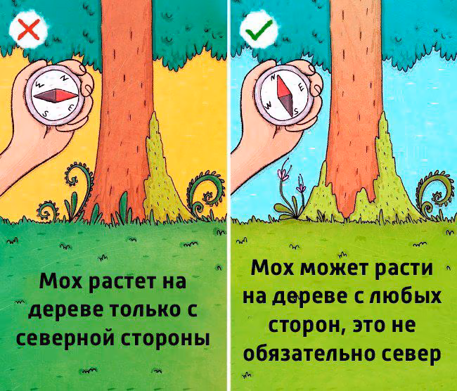 a3a5341189d3da0df18003cc8df42fb0.jpg
