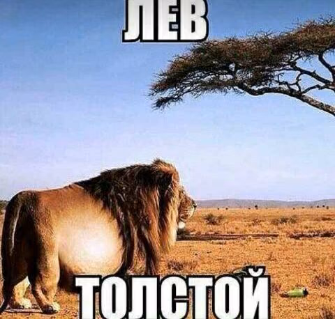 a3c98039f89ae8990c41ed20264d2e3f.avif