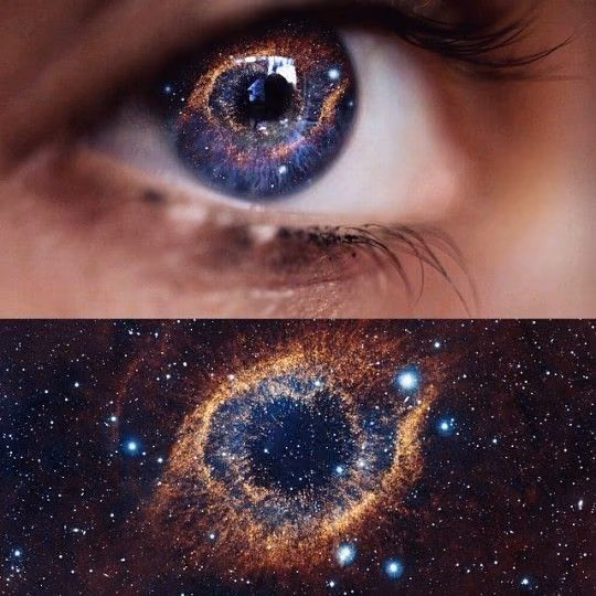 a3d2c444e3af5bb001317d8fee8d35ab.avif