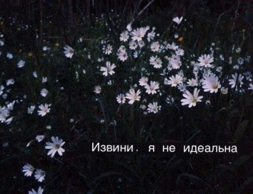 a3d671bf8c3cadf386f21c969ab3d941.jpg