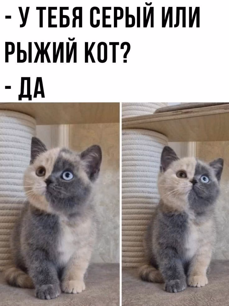 a3d76c88b9306360062e95d09e40d882.jpg