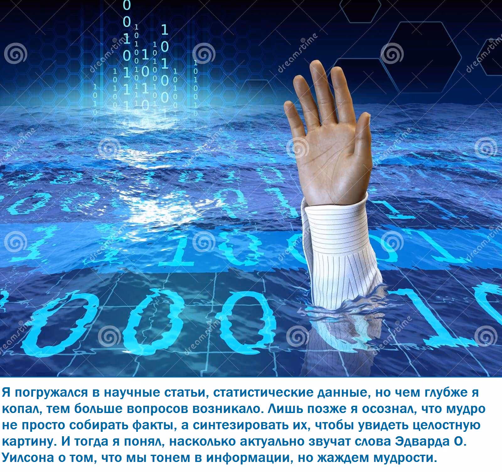 a3d887d2ca964a4d179d09be774aa2a9.avif