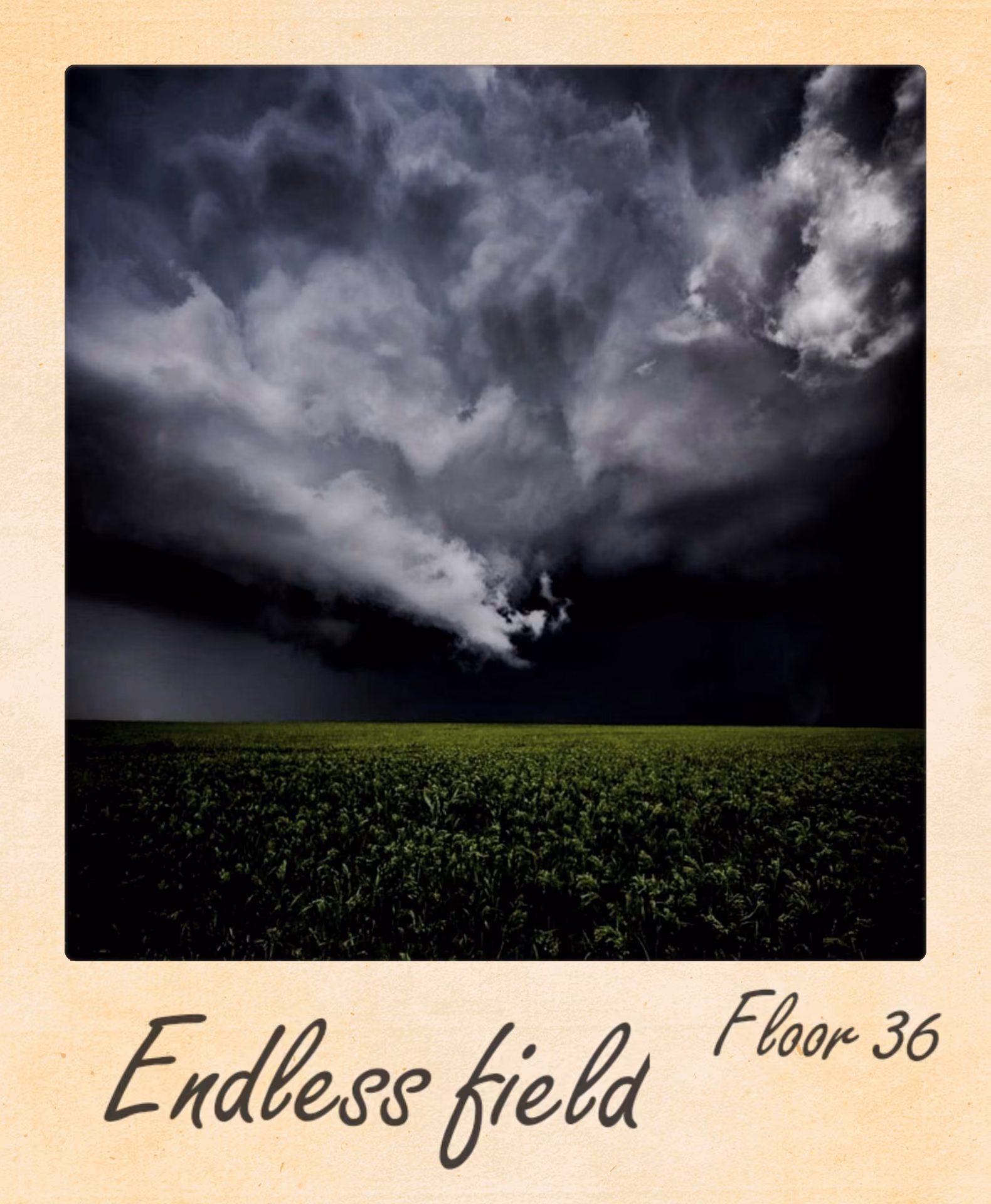 a3ec8d561e453496e695402d44bcd177.avif
