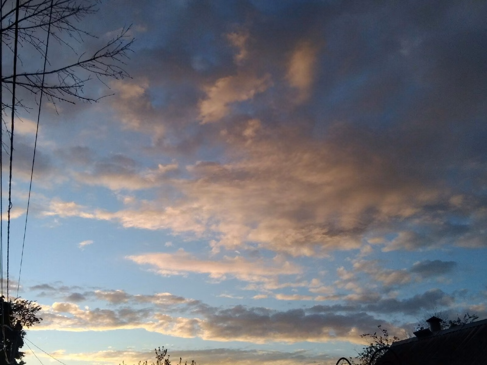 a3f98cdc6ae4a5885c11ed160a898250.jpg