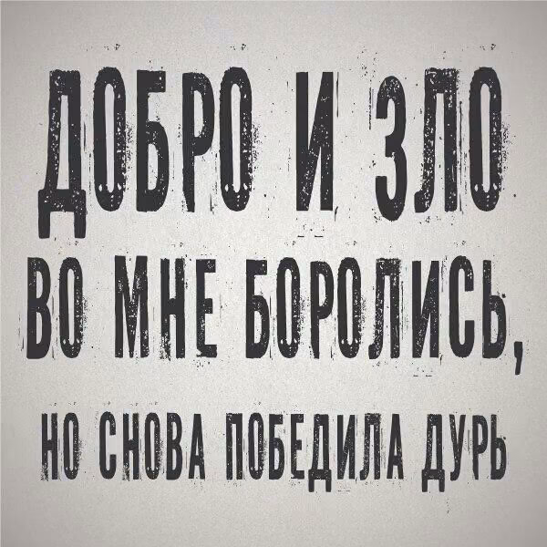 a3fa8b79191cc5352180fc93adcbe275.jpg