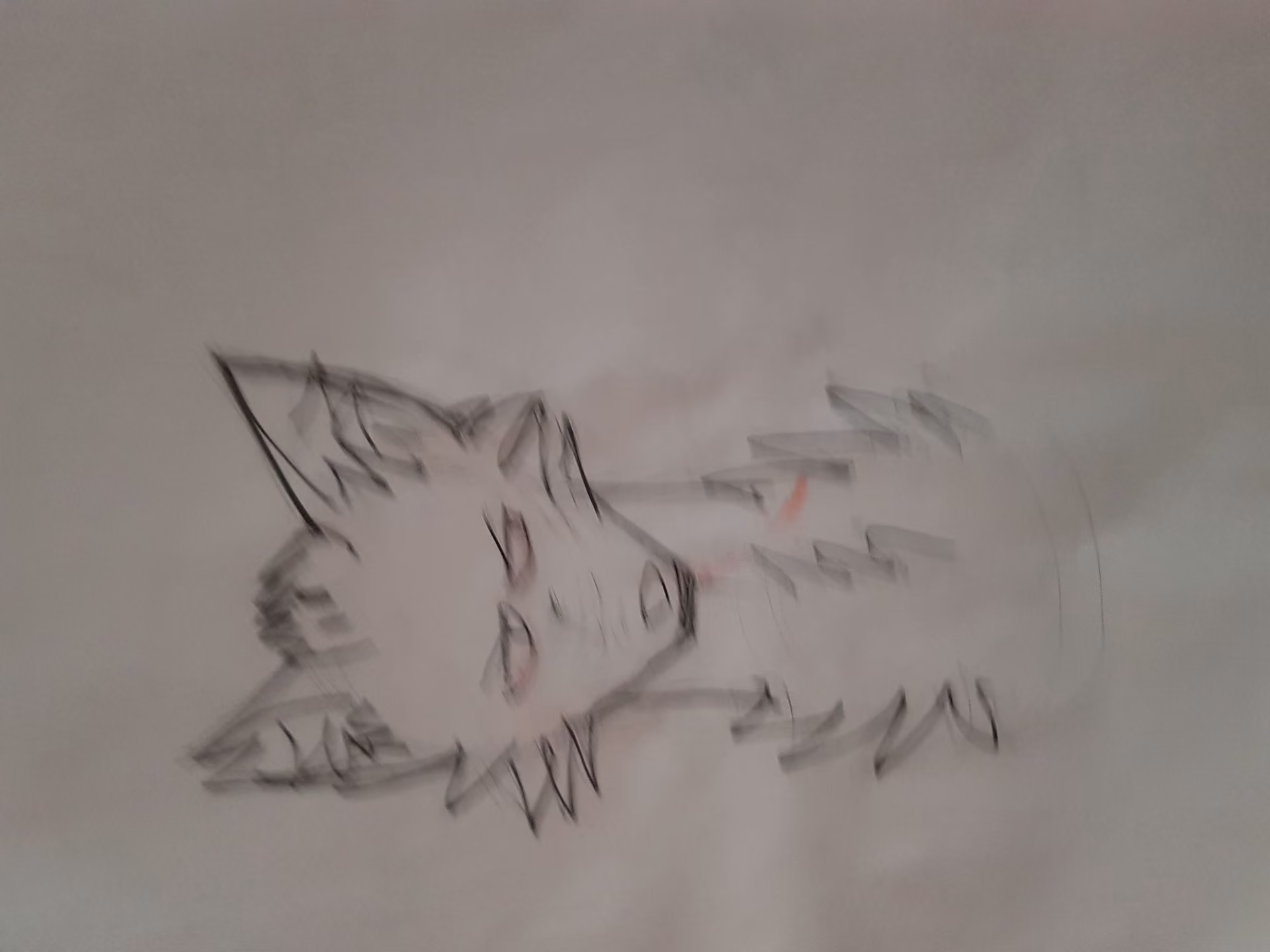 a40a89ad0a53441bef3e7cc71dde5c9a.avif