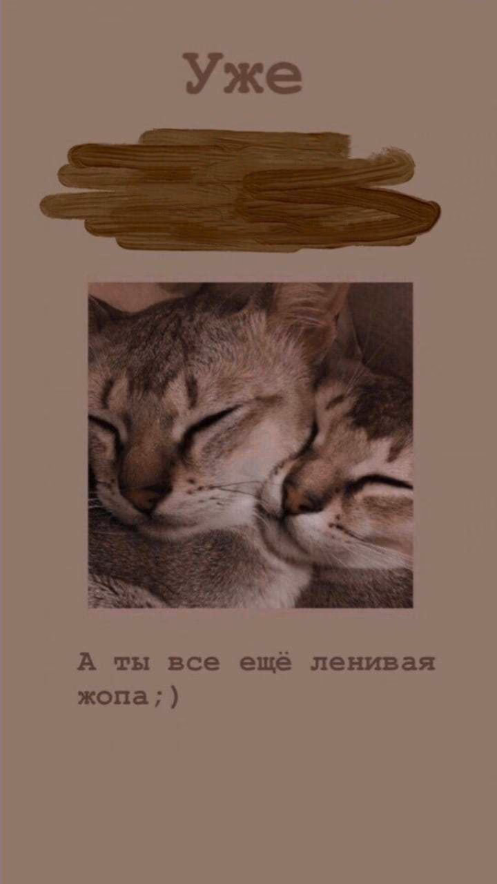a40df590504d485730f41813e4b69be7.avif