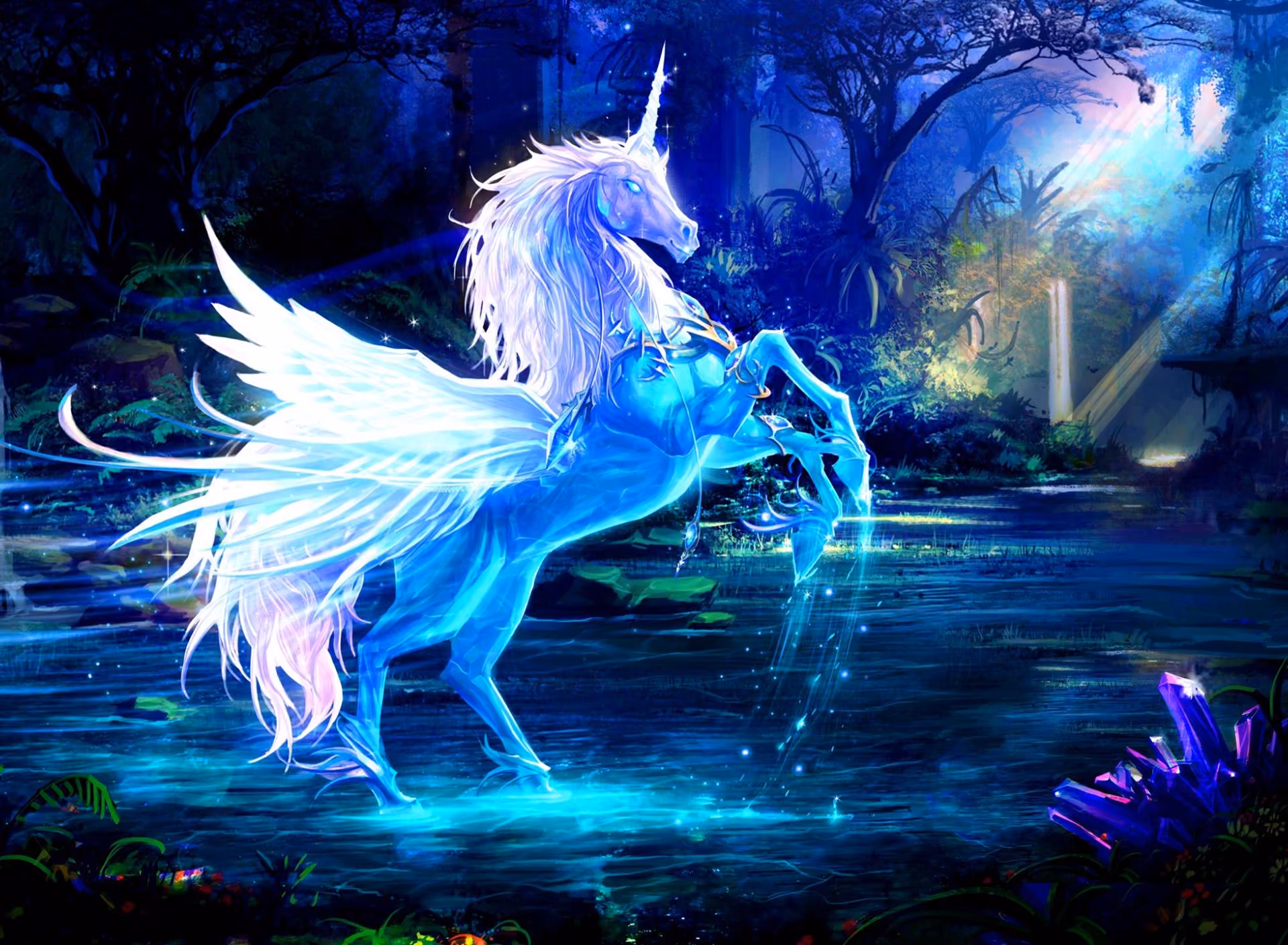 a4585549a4431029a820f2c489f1f89e.jpg