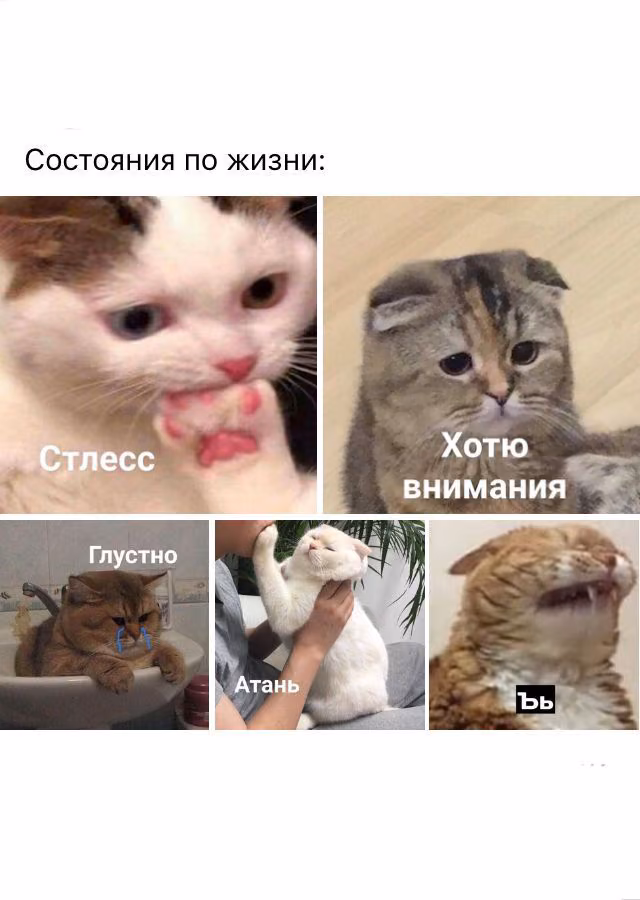 a45b73a4f95c6ffa1c9074aca4ba5956.jpg