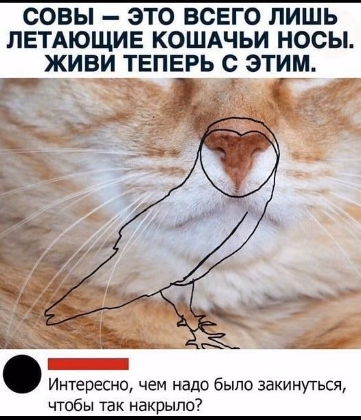 a46216333df5f1f202eb8c4cb6a283d9.avif