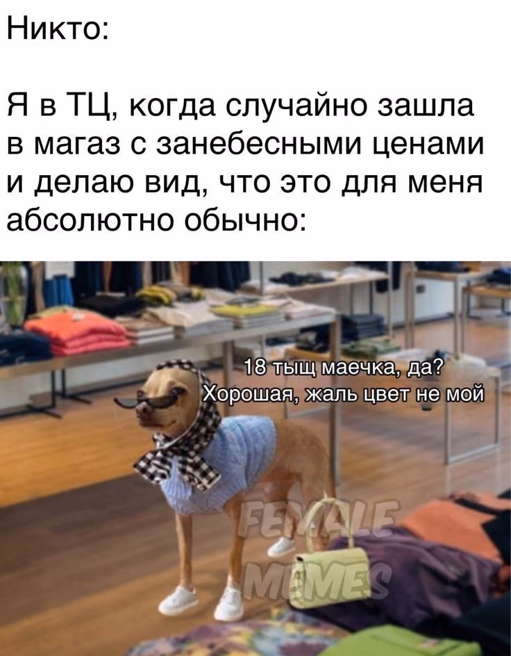 a4692f634132a66090e5ffcad1c6076f.avif