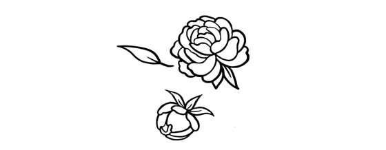 01f7ec3e0e0a70326fd561ab41ead198.jpg