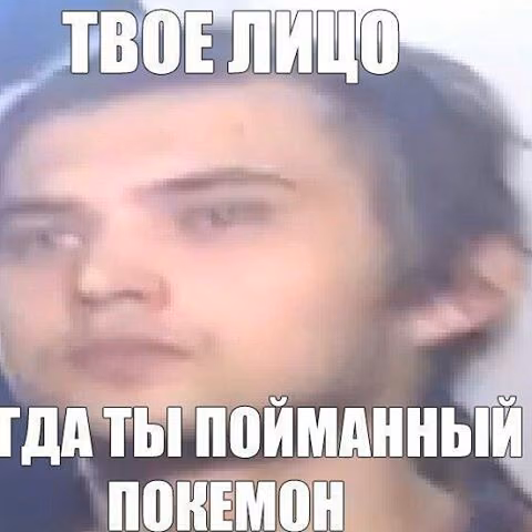 a4bbcaff1a074eee6520d2973e70ae27.jpg