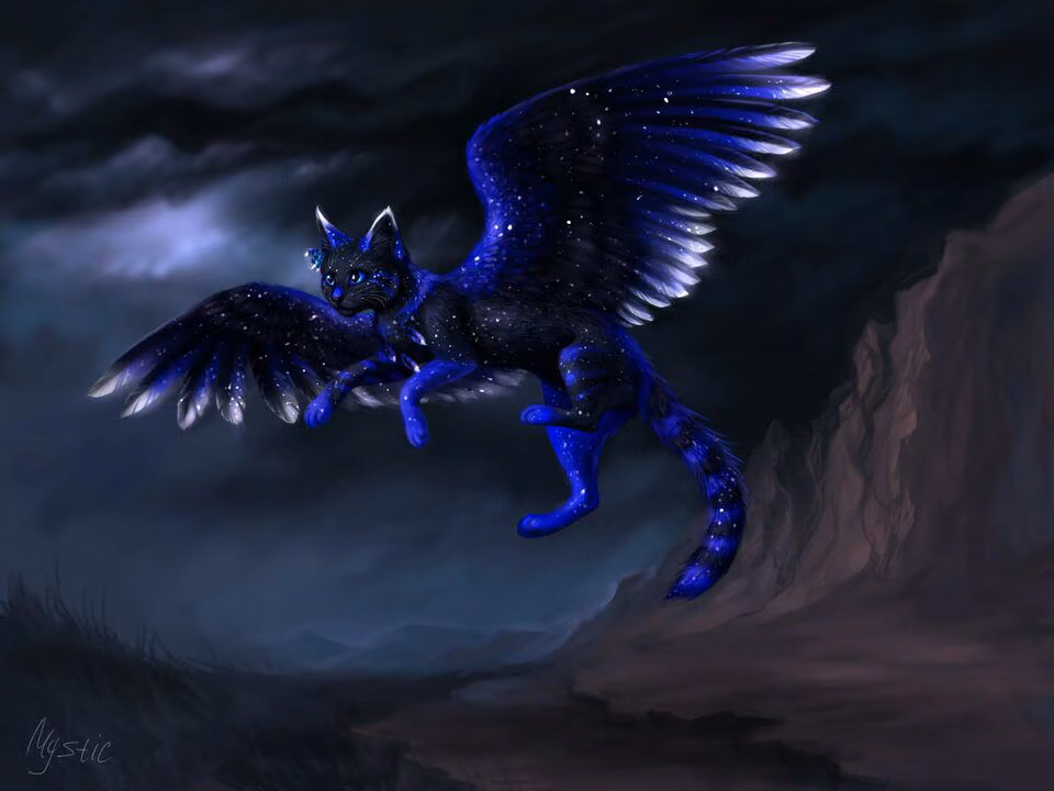 1ce6b3d7555dab8a74bd919c86b01bd6.jpg