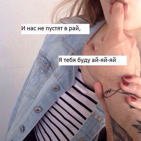 a4cc87cfbae55c302fd931013c910b06.avif