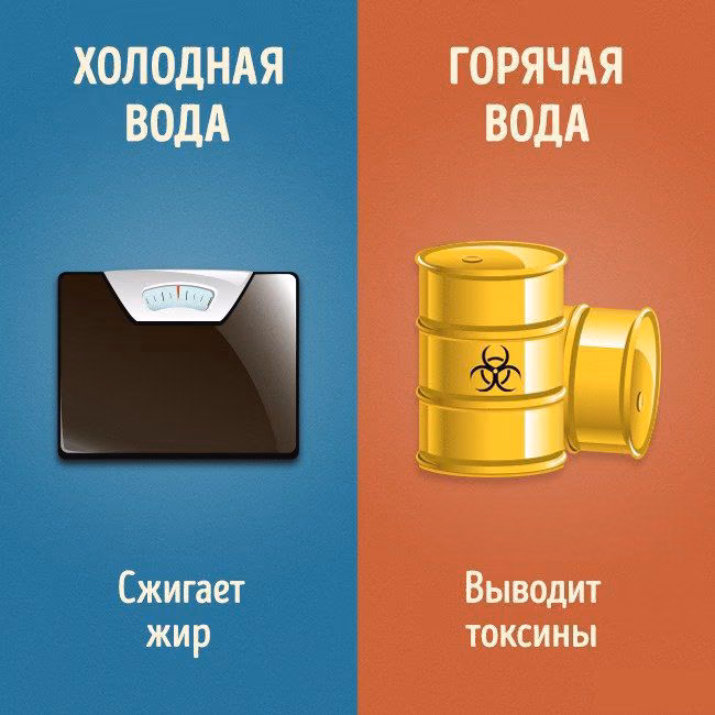 a4d1c710fc4b276339270d2f898cb6ef.avif