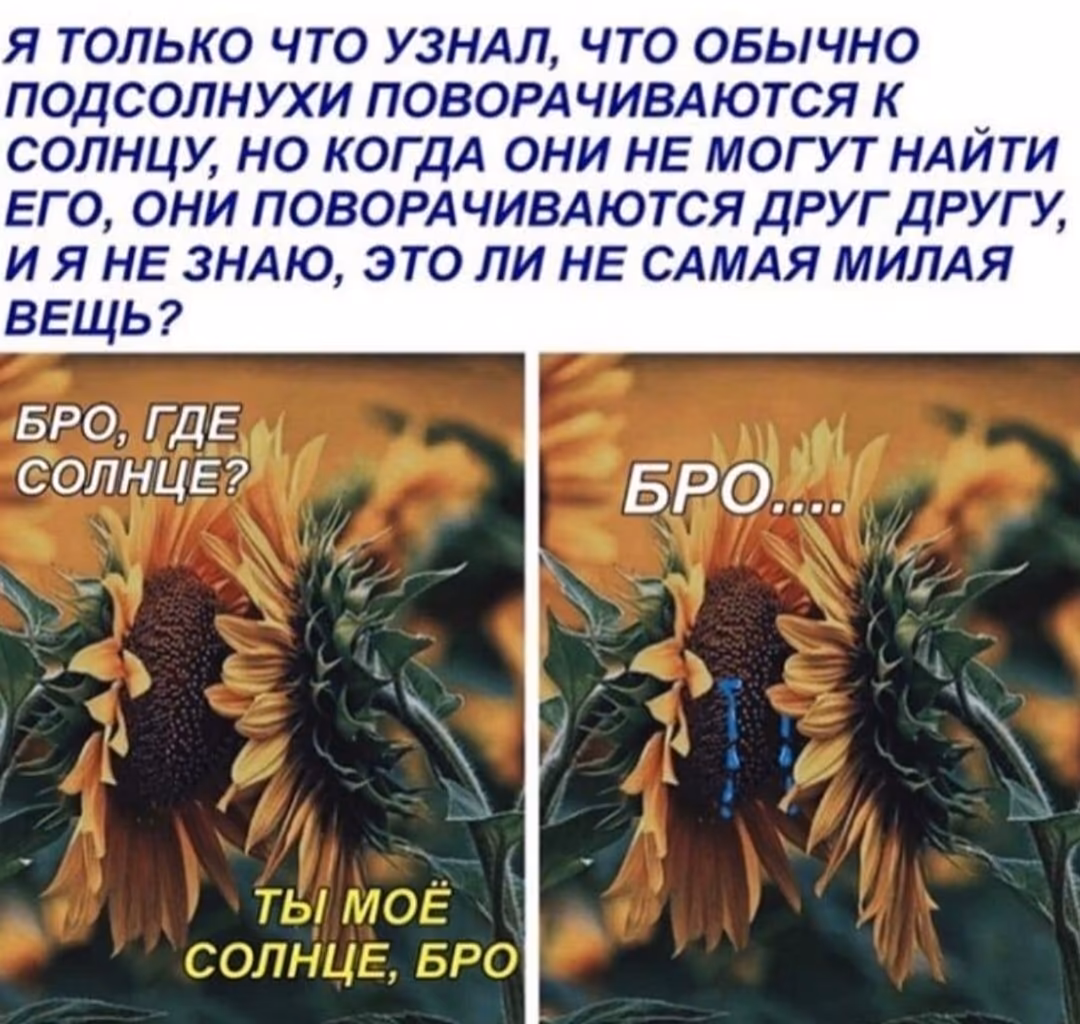 a4ec192325c923838687e0f08bb212e9.jpg