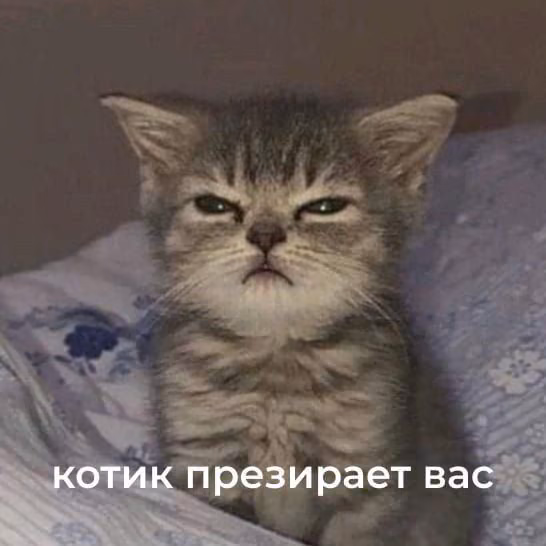 a4f6df341f08d284969f1e43016c57f5.jpg