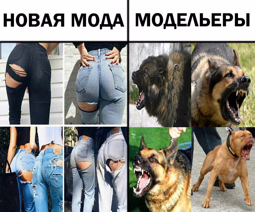 a4fdd6e484338fa15be514e63a3cd4ce.avif