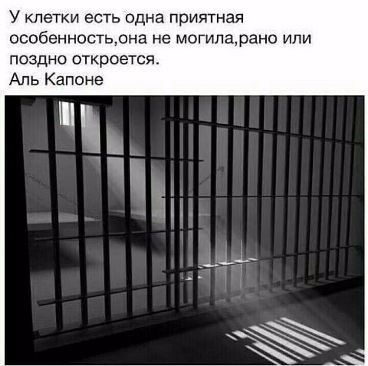 a50097ba9d33f83fe13a5a66c47b537c.jpg