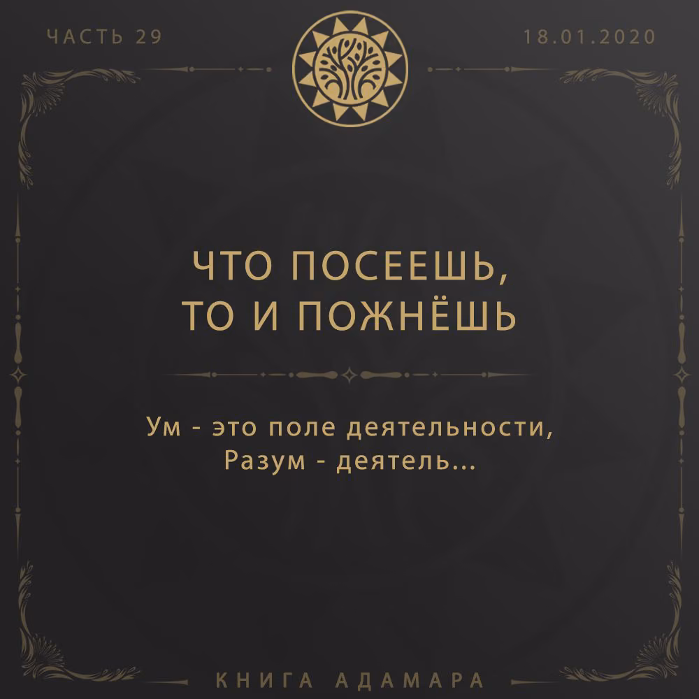 a50880b4c1025d7ddf0023cf036b7a23.avif