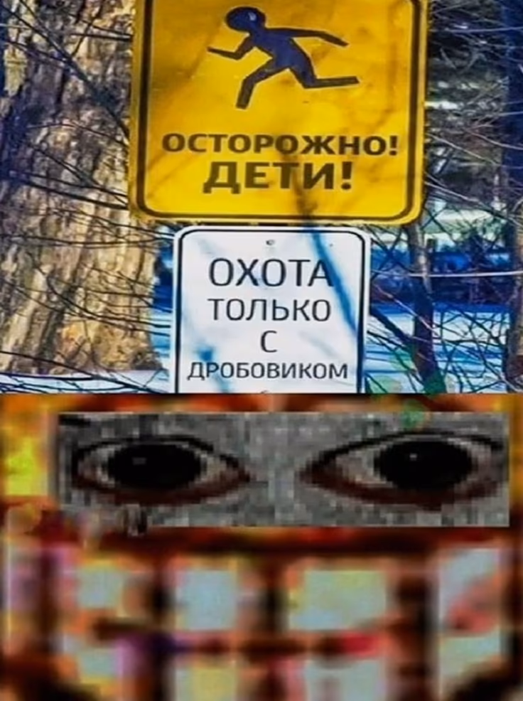 a52e335745060a07f9dc7b83d3415316.avif