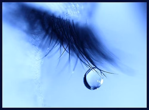 a54a10448657a7c821b53dfab0bd6c34.jpg