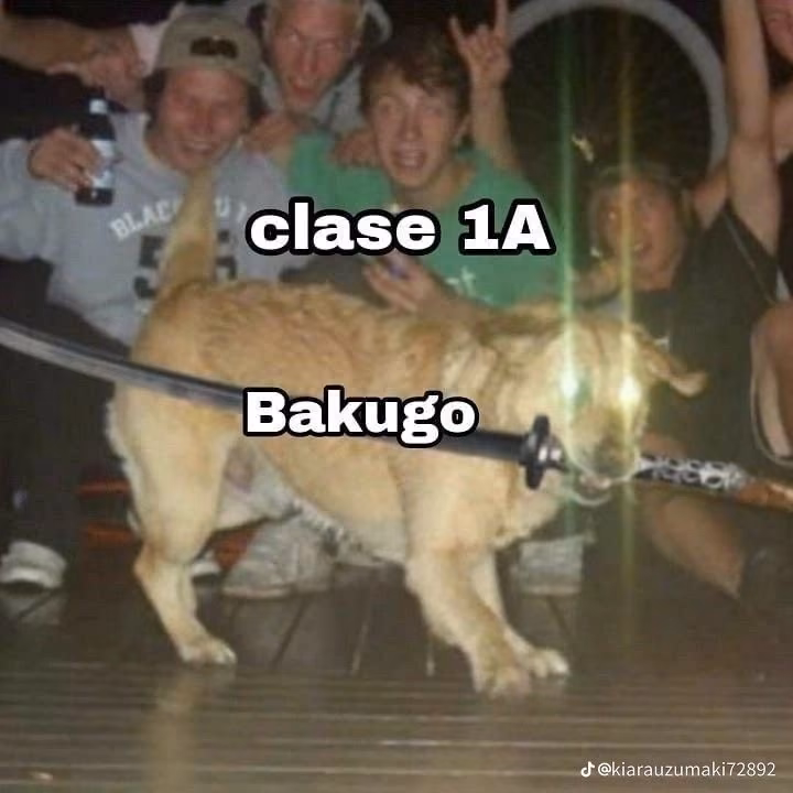 a54c459da2e1561045f02f241e6af2f2.jpg