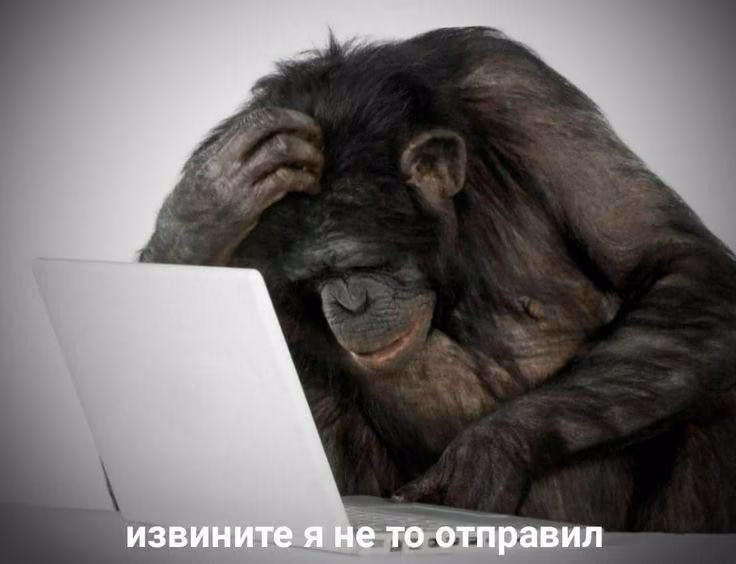 a5562bc8a5461ea8d242b6a5a216bc8b.avif