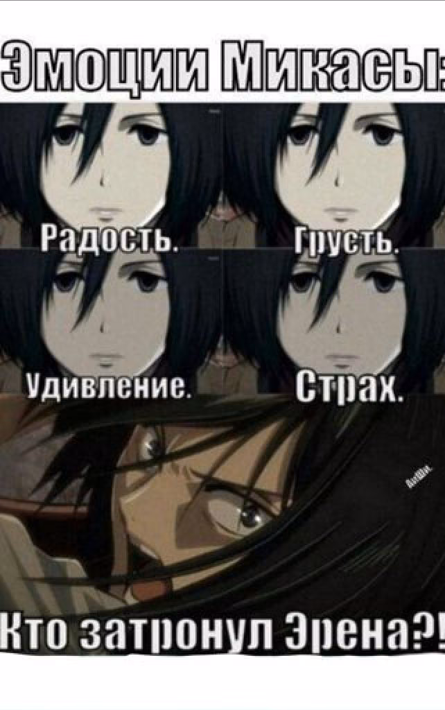a569b3557647147797566accf6fc9250.avif