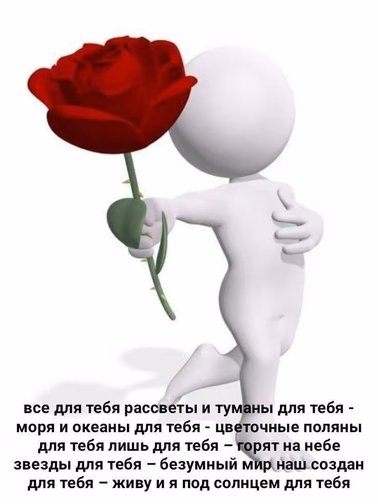 a57e1e4f3fa1024090e0adbbee9e16c6.avif