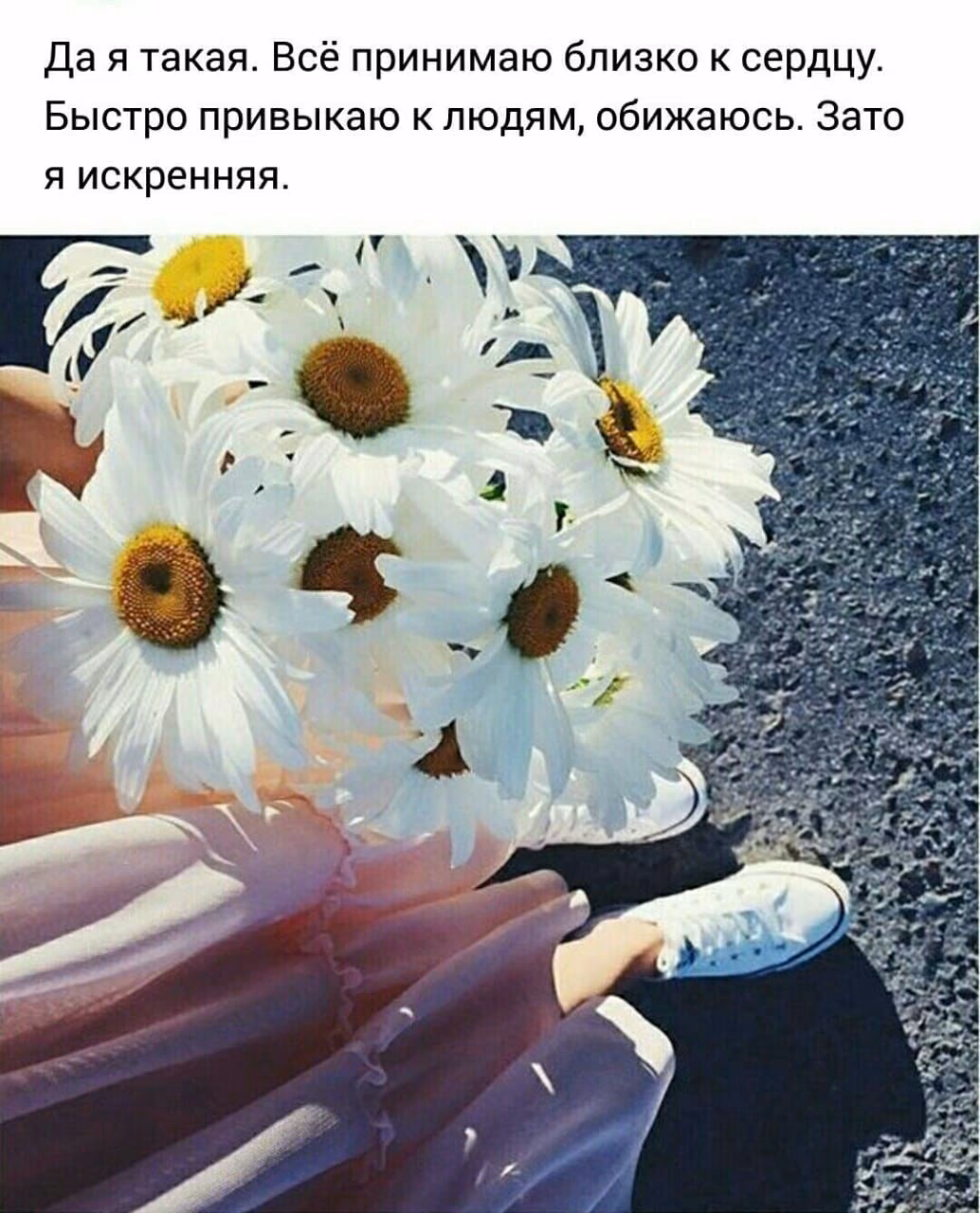 a9b4d7517c603e8fb66ab805bb486a81.jpg