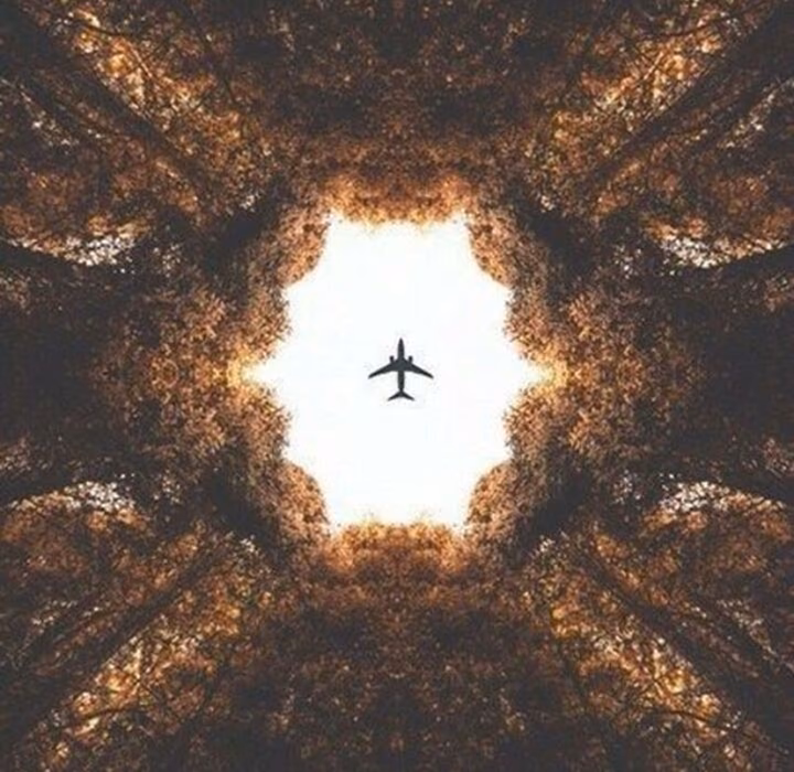 a589e9108c23bce0899636850694f48c.jpg