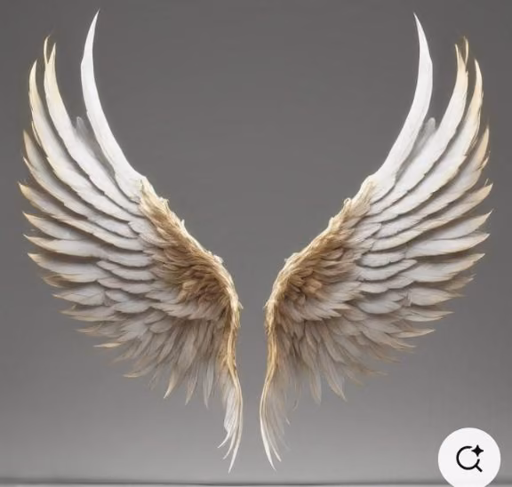 a5a8fa285c2d5aed7c4fe904be7846f6.avif