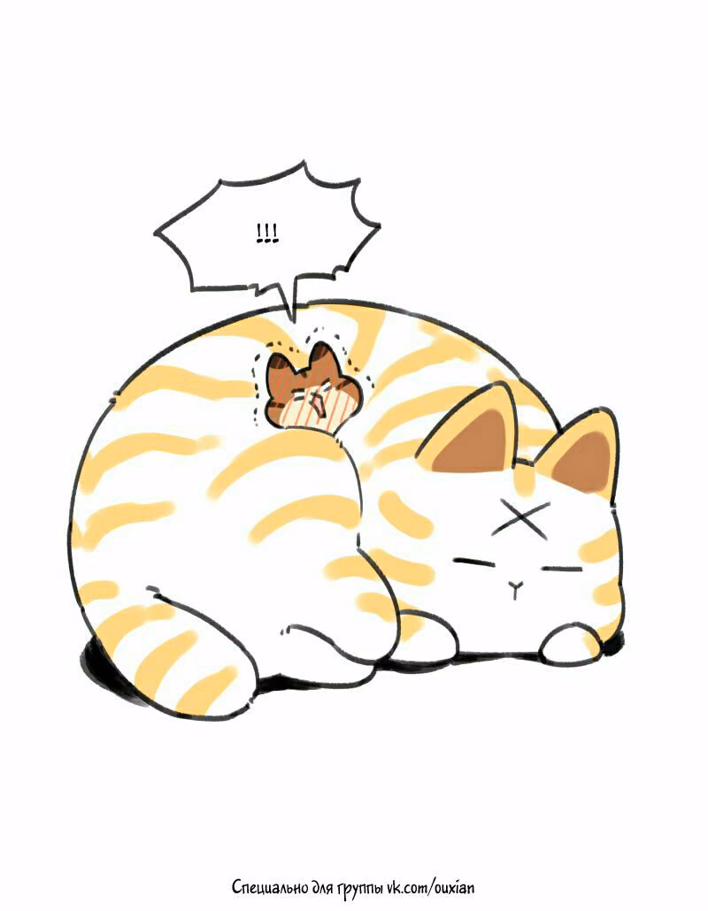 a5c24e56a28c7eabb0c58bc8359cb9f0.jpg