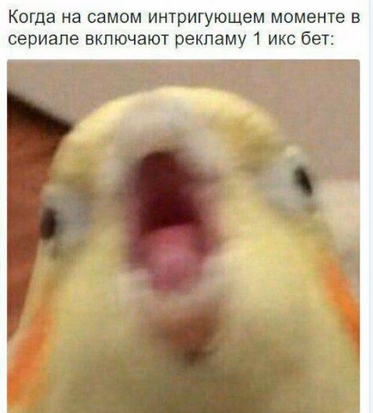a5e72e2687f4abecaecd04c0f61a2247.avif