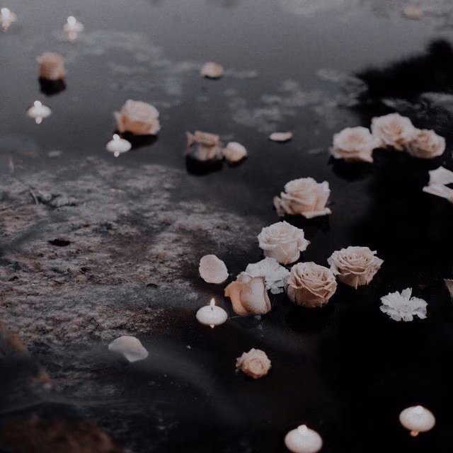 a5f302f2ad4080f579c880896342f118.jpg