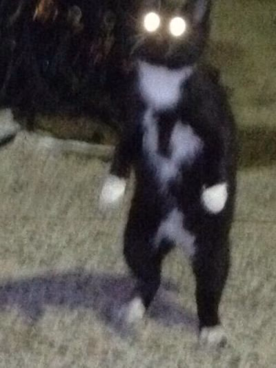 a605740b59fbdde3e14647b1613ca680.avif