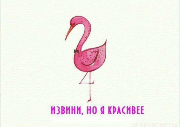a60a8667c64b0f6e98012d031220e812.jpg